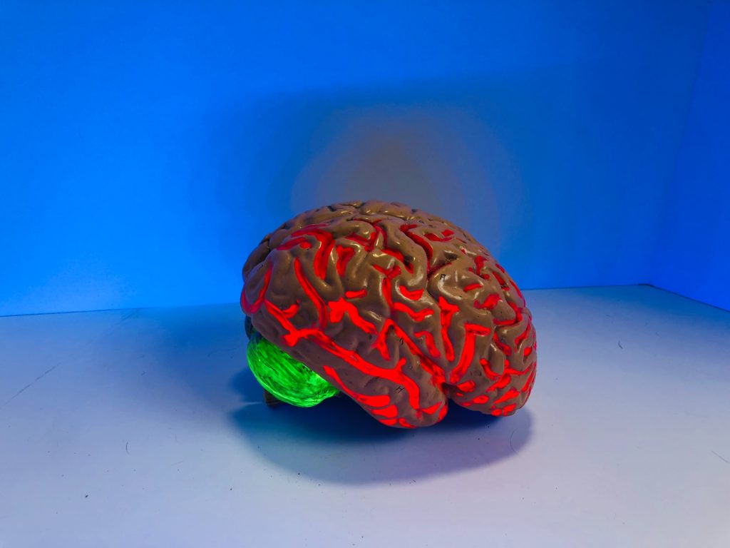 Maladies dégénératives & neuro-dégénératives